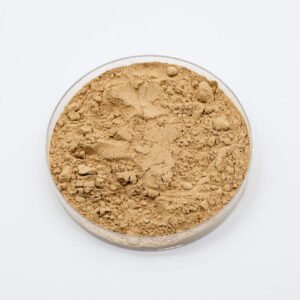 Bacillus amyloliquefaciens PGPR
