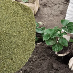 Cucumber Fertilizer Blend