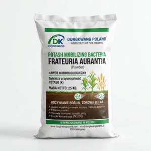 Bacillus amyloliquefaciens PGPR