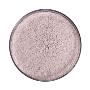 Bacillus subtilis PSB