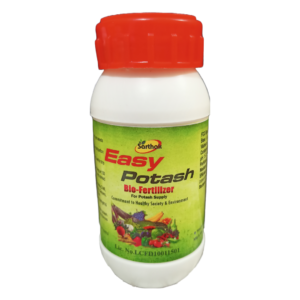 Potassium-Mobilizing Bacteria (Frateuria aurantia)